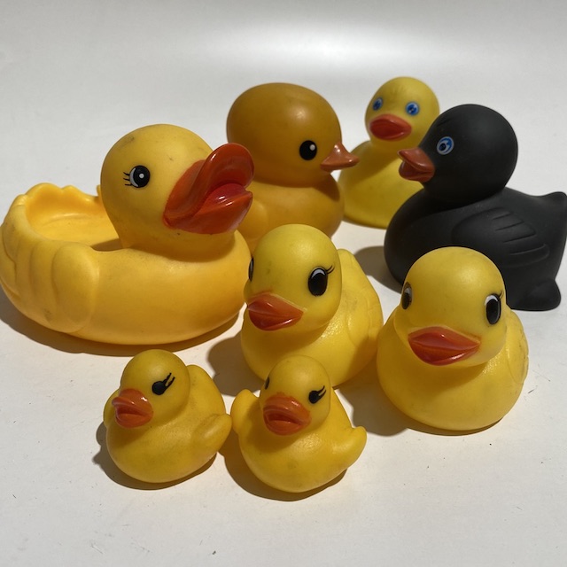 BATH TOY, Rubber Duck Assorted